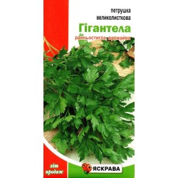 Насіння петрушки великолисткової Гігантела, 2г, ТМ Яскрава